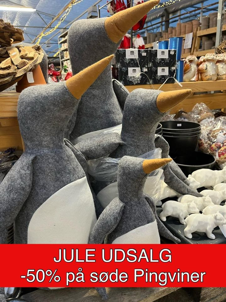 Hold trit med lokalområdet: Nyt fra Odder