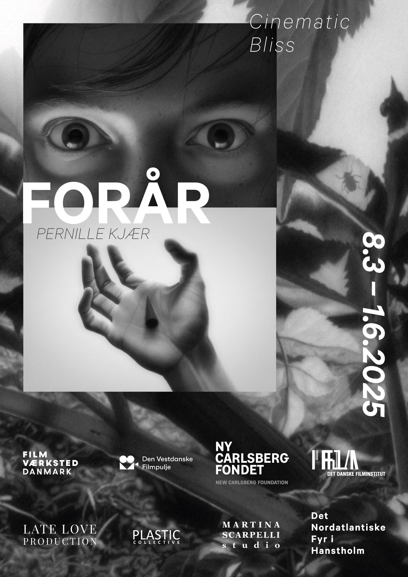 Gratis åbning af kunstudstillingen FORÅR i Hanstholm