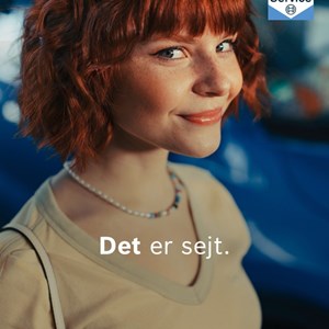 Opslagsbillede