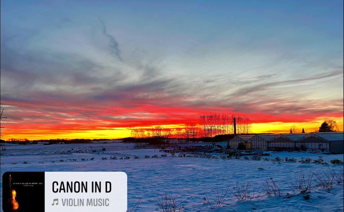 Hold trit med lokalområdet: Nyt fra Odder