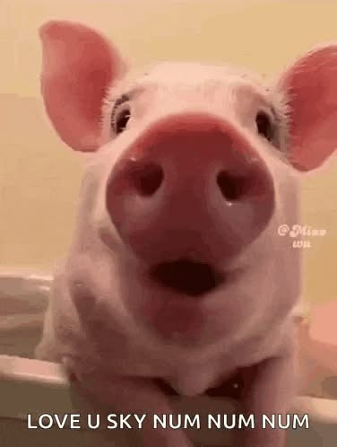 Center Kiosken inviterer til pattegris på grill og beats party den 4. juni