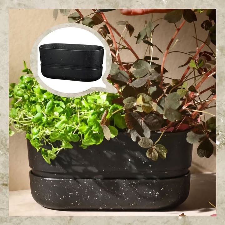 Fredericia Isenkram: Spar stort på RIG-TIG POT-IT urtekasse i sort - kun 49,95 kr.