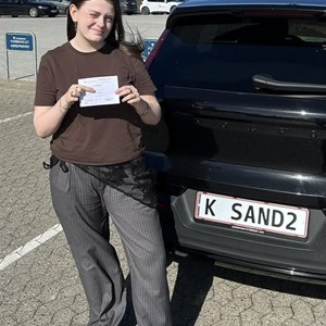 Opslagsbillede