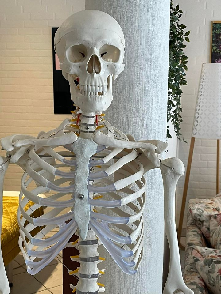 Hold dig ajour med dagens opdateringer fra Hjallerup