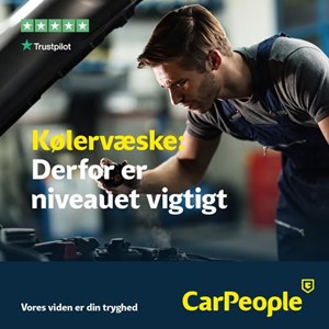opslagsbillede
