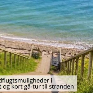 Opslagsbillede