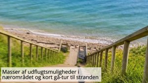 opslagsbillede