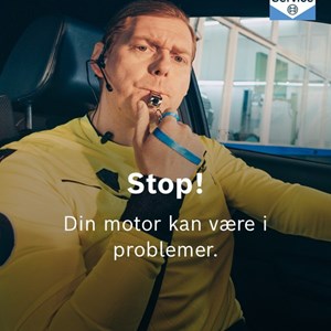 Opslagsbillede