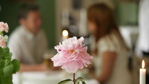 Syng foråret ind på en vandretur ved St. Øksø