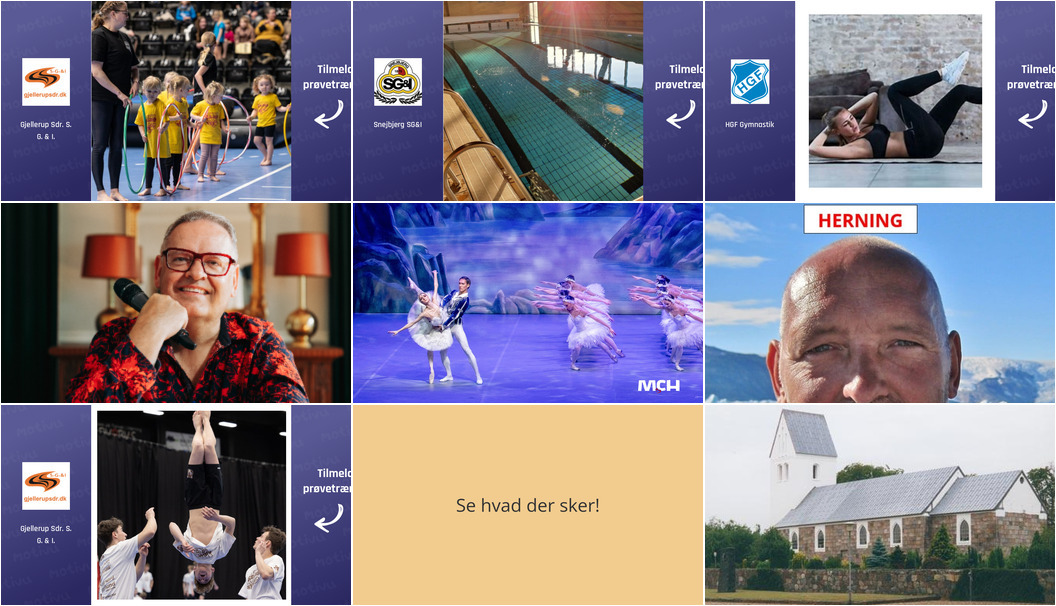 Fra springgymnastik til Svanesøens skønheder: Ugen byder på mange aktiviteter i Herning