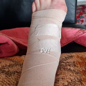 Opslagsbillede