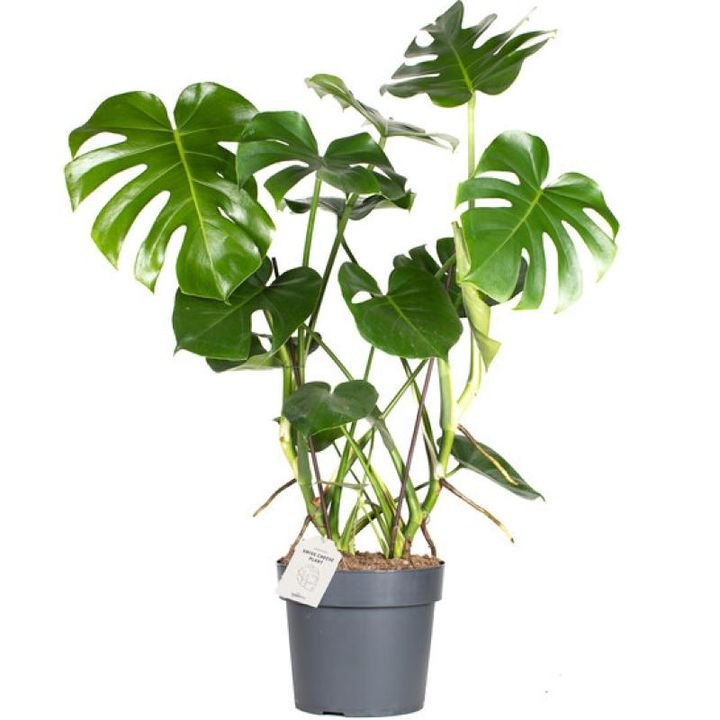 Nyt på opslagstavlen i Silkeborg