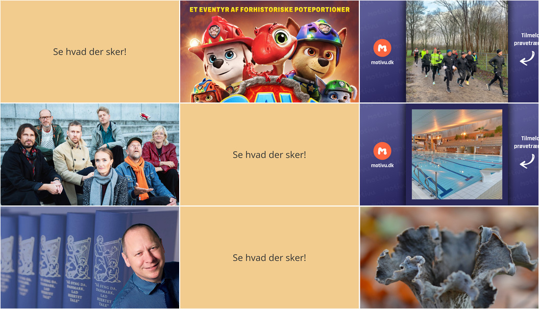 Weekenden i Køge: Film, musik og svampeture