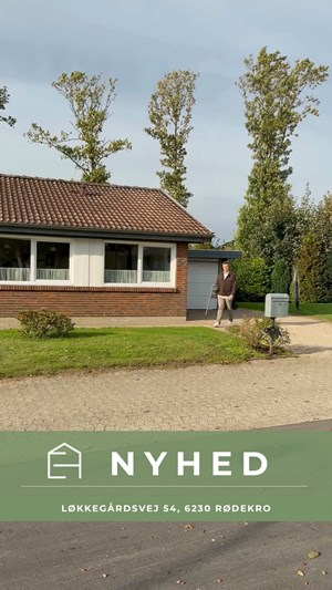 opslagsbillede