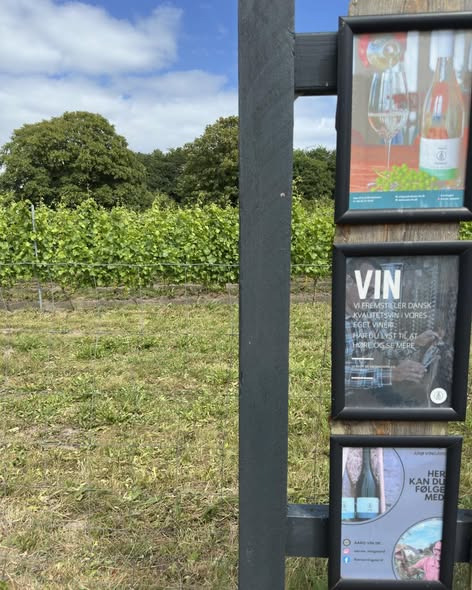 Den Hvide Hest Kolding er tilbage efter friweekend på Årø