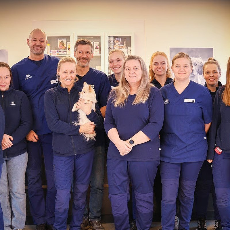 AniCura Dyrehospitalet City Syd