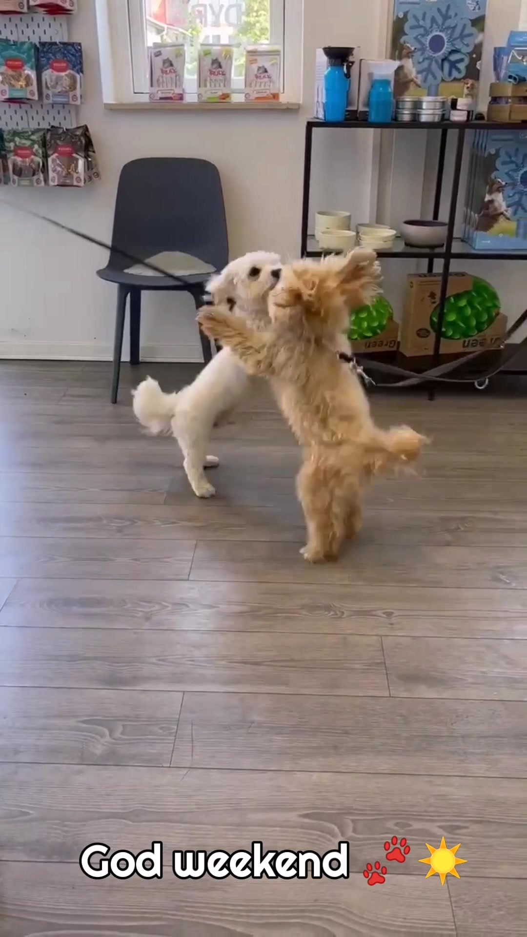 Nyt på opslagstavlen i Vejle