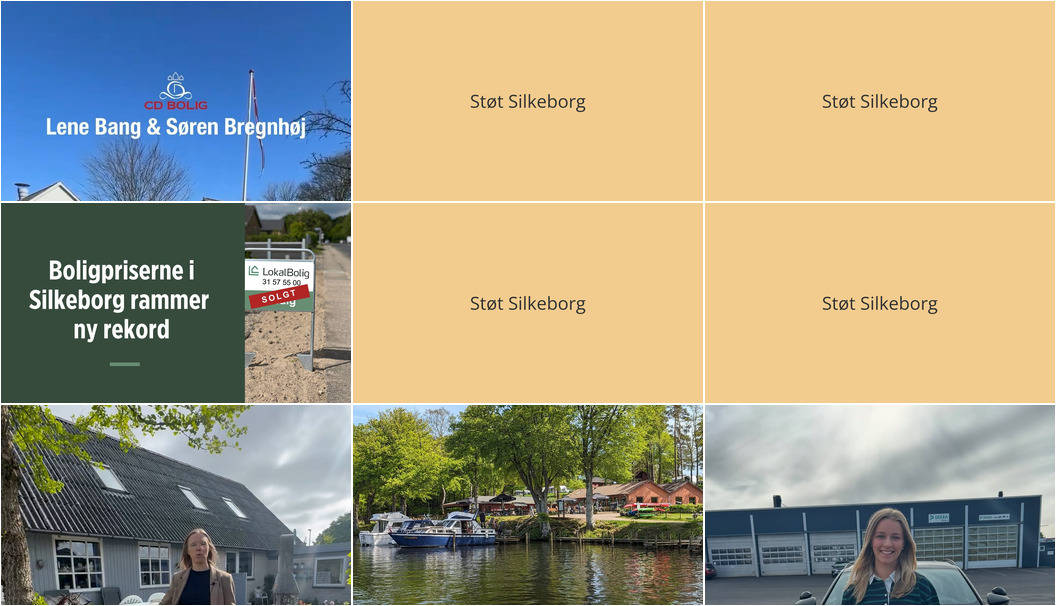 Nyt fra Lokalbolig Silkeborg - Mathias Bach & Co, EDC Torben Larsen, Bentzens Køreskole og 2 andre