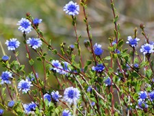 Familearrangement ved Stenaldercenter Ertebølle