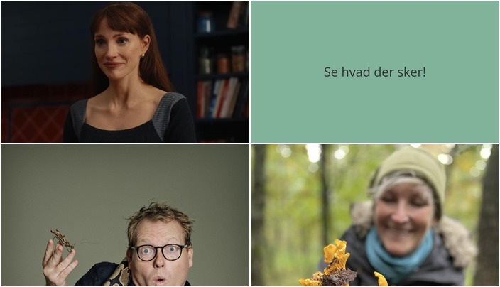 Oplev Aars i den kommende weekend: Gyserfilm, dyreshow og svampetur