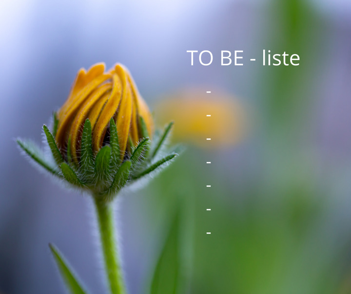 Det nyeste på Hammels opslagstavle