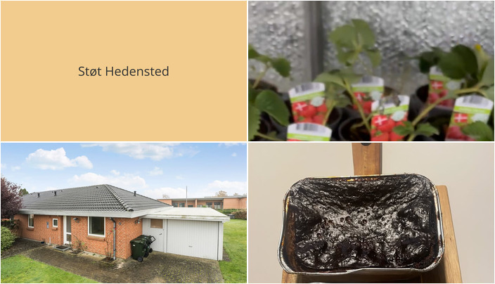 Nyt fra EDC Hedensted, Beringsslagteren ApS og Midtjysk blomstermarked 