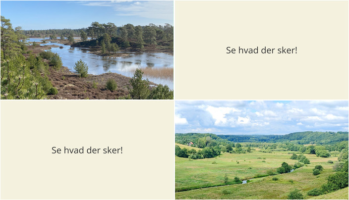 Historiske vandreture og naturoplevelser i Randbøl - Se hvad der sker den kommende uge