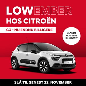 Opslagsbillede