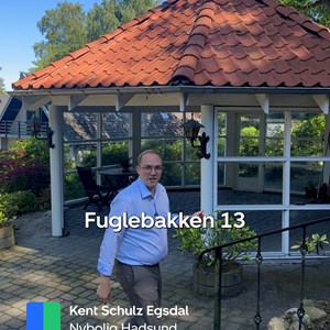 Opslagsbillede