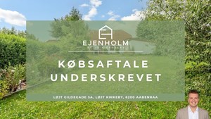 opslagsbillede
