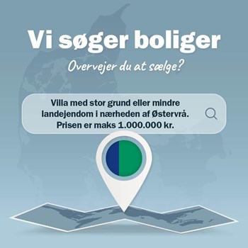 Opslagsbillede