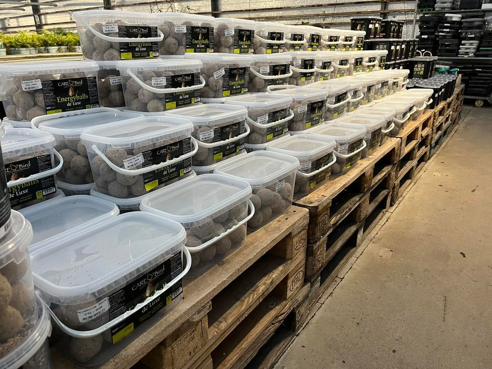 Det nyeste på Odders opslagstavle