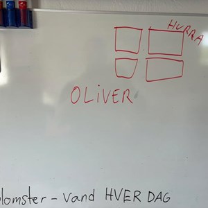 Opslagsbillede