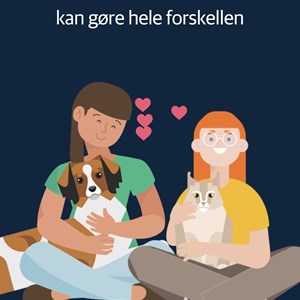 Opslagsbillede