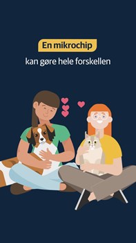 Opslagsbillede