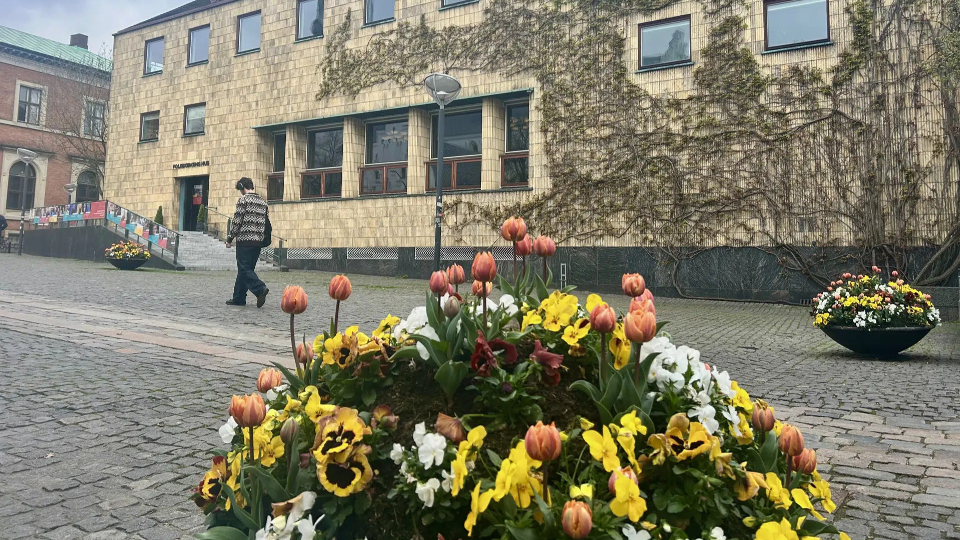 Aalborg fejrer Danmarks befrielse med musik og fællesskab på 80-årsdagen