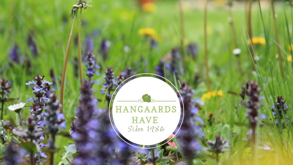 Magiske troldearrangementer i Hangaards Have