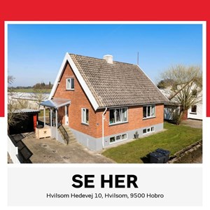 opslagsbillede