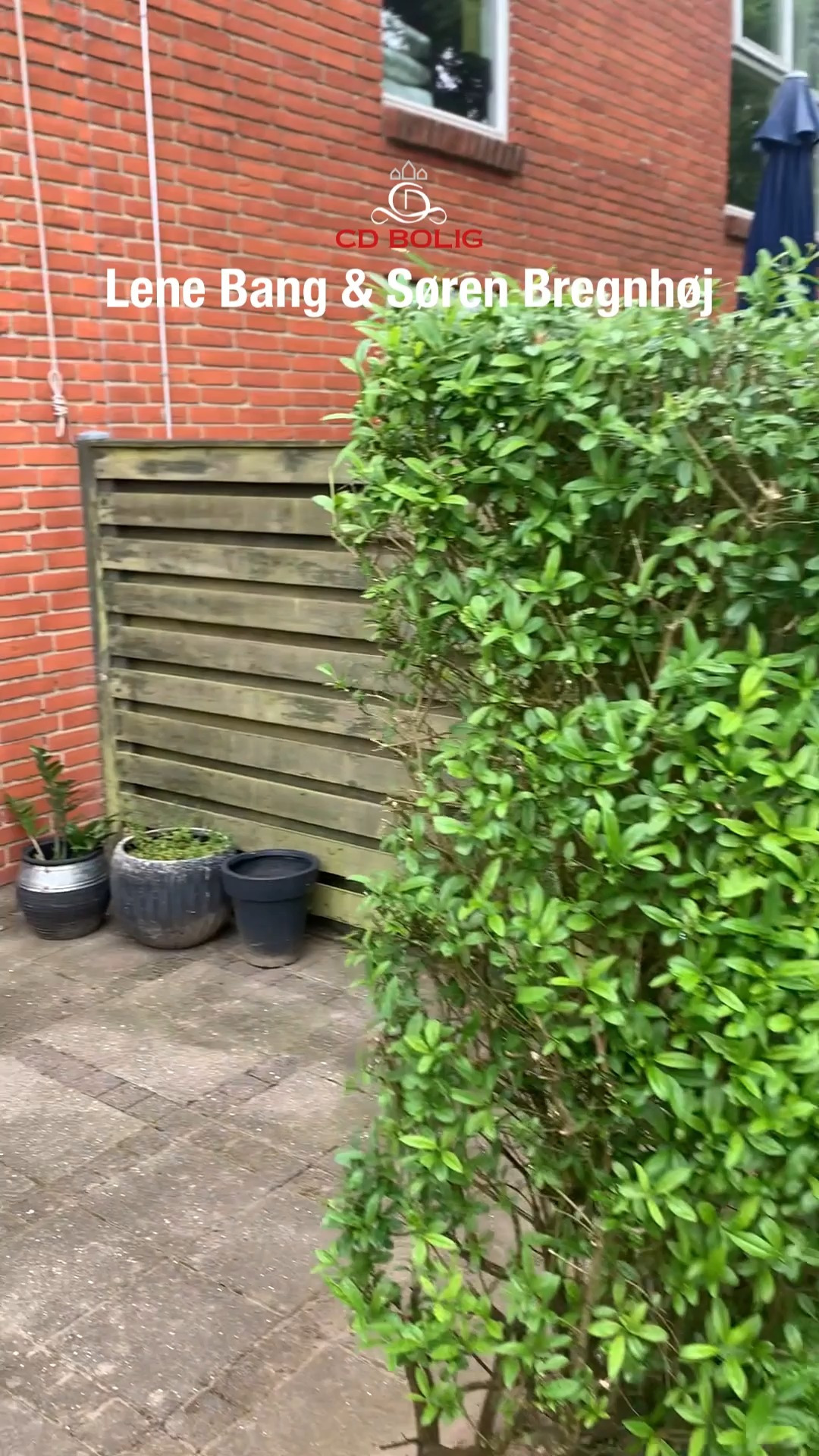 Opdatér dig her: Det nyeste fra Silkeborg