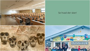 Udforsk spændende aktiviteter i Hals i den kommende uge