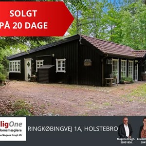 Opslagsbillede