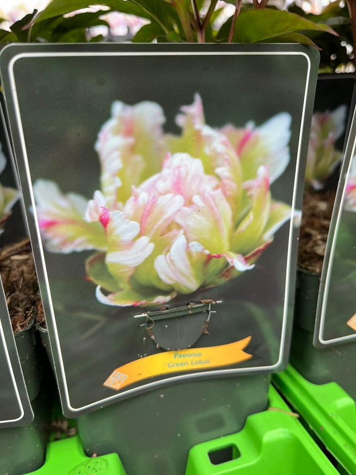 Hold trit med lokalområdet: Nyt fra Horsens