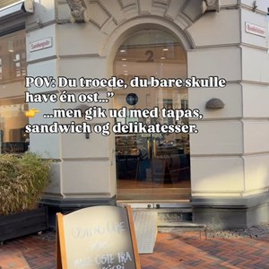 Opslagsbillede