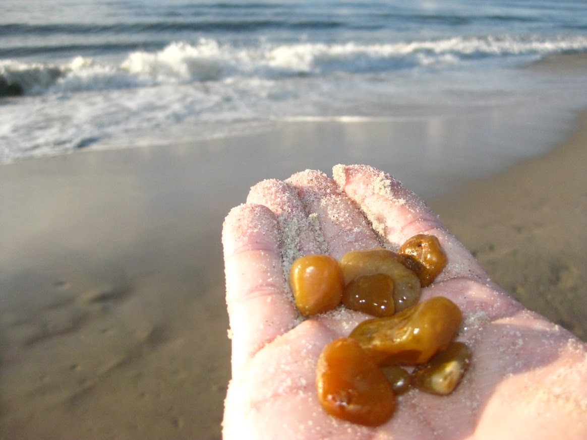 "Jagten på Nordens guld"