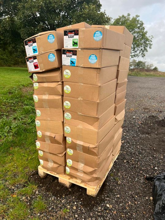 En finger på pulsen i Sæby