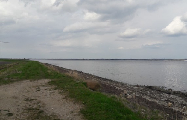 Vandretur på diget Nørrekær Enge, Vår Skov 