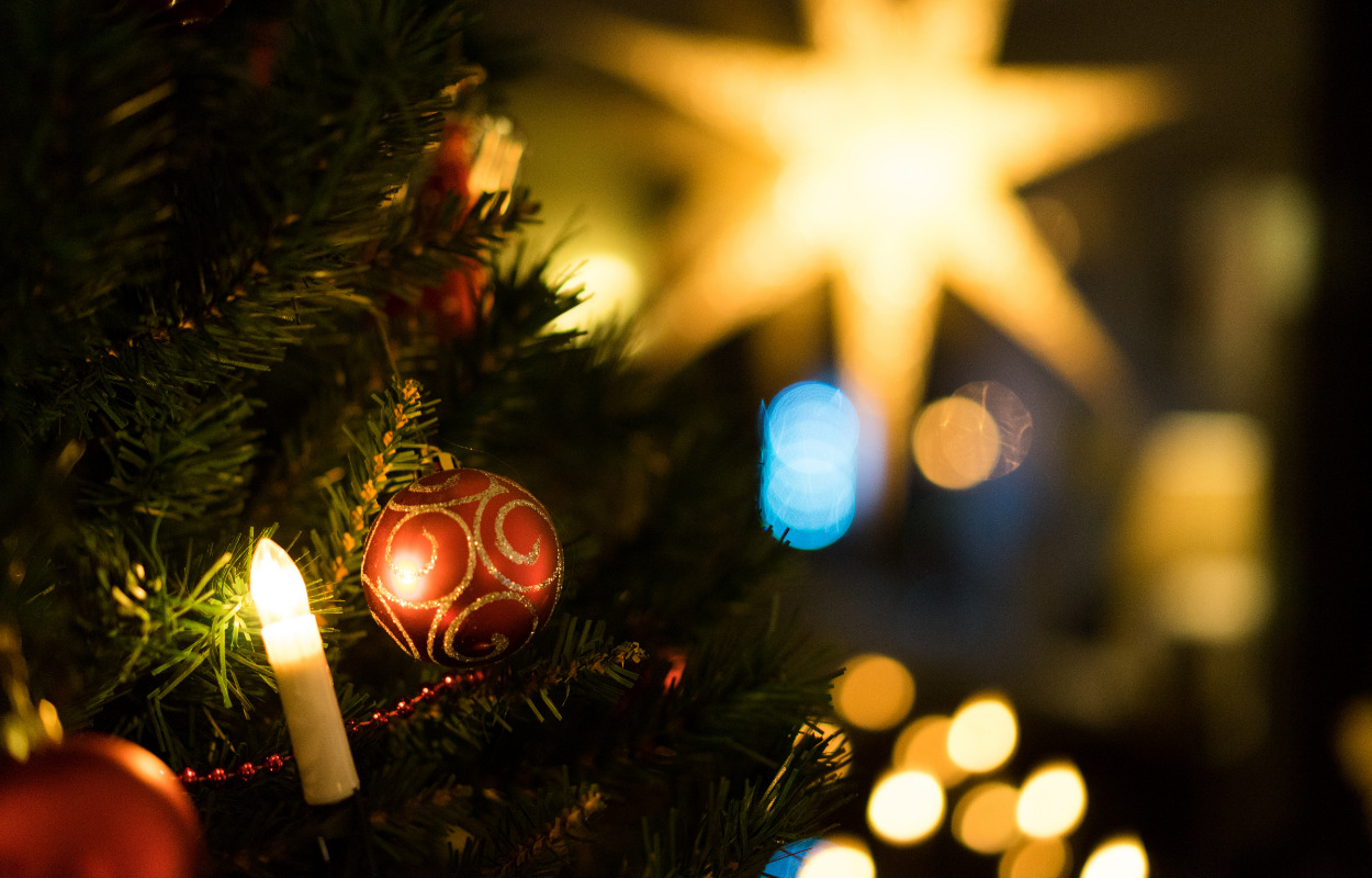 Aalborg Zoo holder lukket juleaftensdag