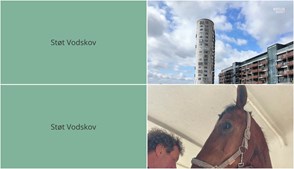 Nyt fra Mæglerhuset og Vodskov Dyreklinik v/Thorstein Arnason