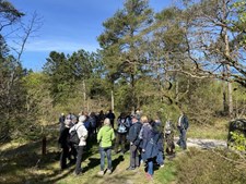 Oplev Thy til fods med "Gå i gang"-ture