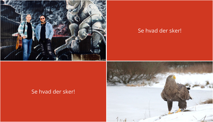 Weekend i Bindslev: Musikalske oplevelser og julehygge med rovfugle